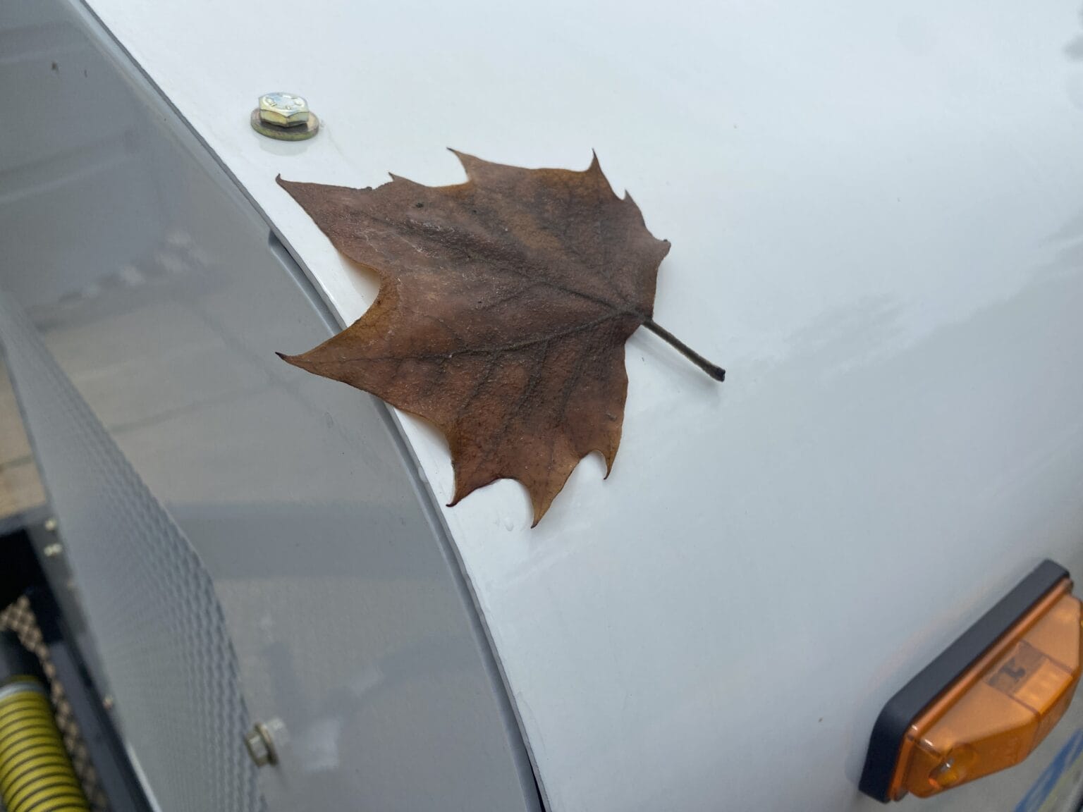 Brown maple leaf on O'Brien Sewer Jetters white trailer fender by amber marker light and hose.